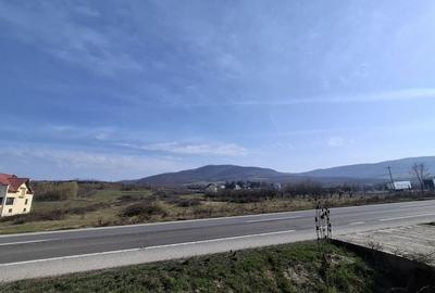 Teren de 14500 mp, în Exterior Vest - 5