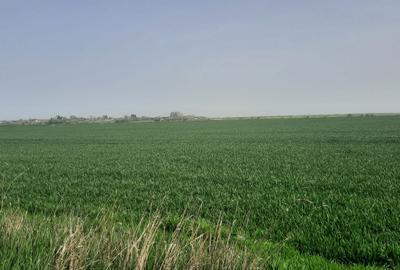 Teren intravilan la vanzare in Loc. Mihailesti - 3
