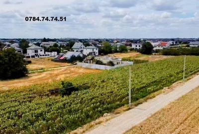 Teren de 325 mp, în Berceni