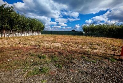 Spațiu comercial, în Centură - 1