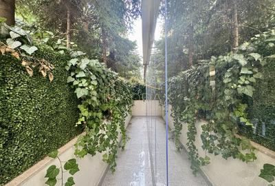 Apartament cu 5 camere parter + Gradina 100mp // Herastrau - Aviatiei - 16