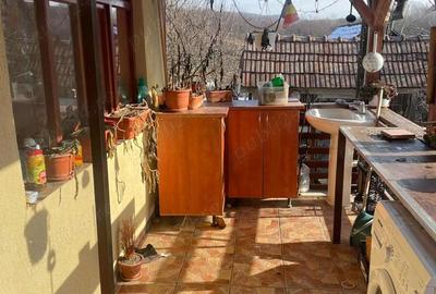 Casă cu 2 camere în Pustuța - 7