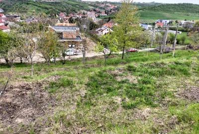 Teren de 810 mp, în Spitalul Județean - 1