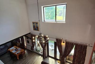 Casa spatioasa Traian - 8