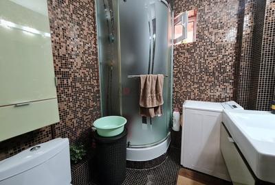 Casă individuală cu 6 camere cu Piscina în Domnești - 21