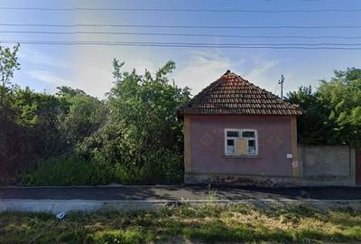 TEREN 2364 mp + CASA VECHE | CAUASD | BIHOR - 3