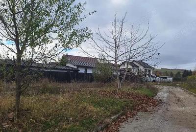 Teren de 760 mp, în Sud - 7