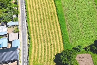 Teren agricol intravilan de 1000 mp, în Gârcina - 3