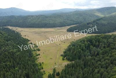 Teren de vanzare in apropiere de Transfagara?an ?i Valea Valsanului. - 6