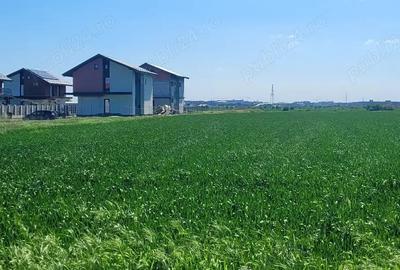Teren de 5000 mp, în Dragomirești-Deal - 2