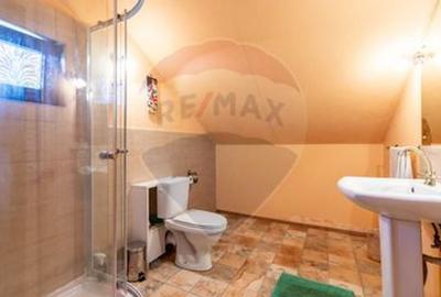 Casă individuală cu 4 camere cu Teren 4435 Mp în Tomșani - 21