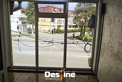 Comision 0% Spatiu Comercial cu vad - Bd. Bucovina-Gura Humorului - 4