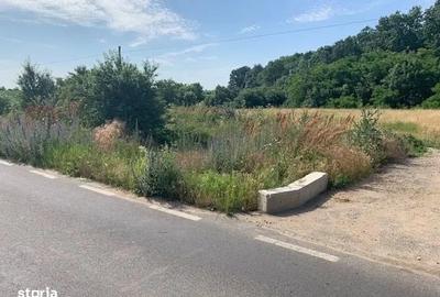 Proprietar vand teren langa Domnesti in Bucsani la padure - 4