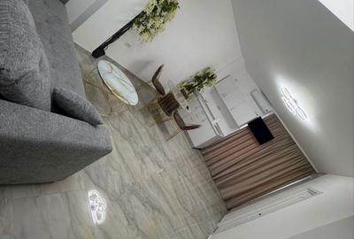 Apartament cu 2 camere decomandat în Palazu Mare - 3