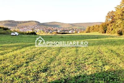 De vanzare 2 terenuri de 29.500 mp si 1.400 mp.29 euro mp