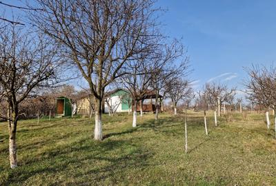 Teren Construcții intravilan de 1059 mp, în Roman - 3