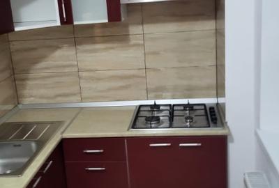 Apartament cu 2 camere semidecomandat, mobilat în Lazaret - 11