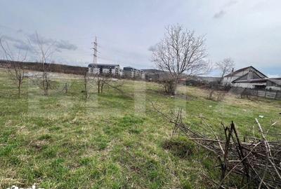 Teren de 4400 mp, în Viișoara - 1