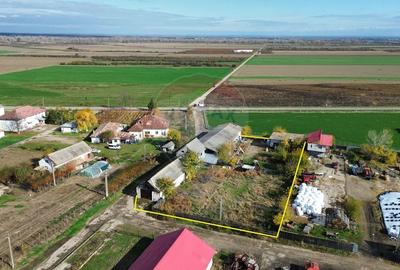 Spatiu industrial productie/depozitare - 2