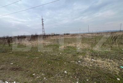Teren de 2022 mp, în Ișalnița - 3