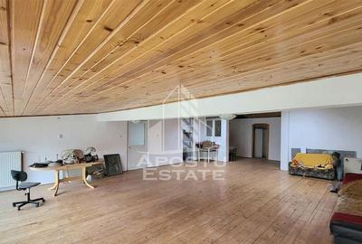 Casa ideala pentru birouri/alte activitati Mehala - 24