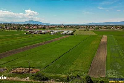 Spațiu comercial, în Bod - 2