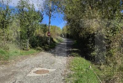 Teren de 6896 mp, în Borhanci