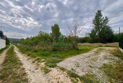 Teren de 494 mp, în Bujoreni - 2