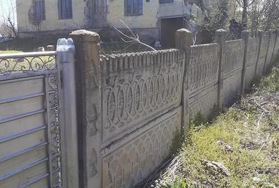 Casă cu 3 camere cu Teren 1284 Mp în Ostroveni - 1