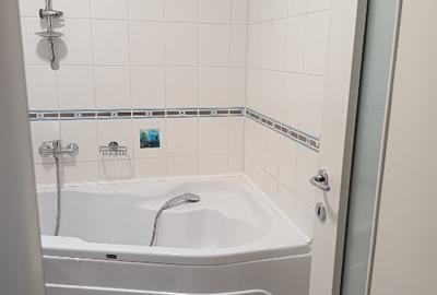 Apartament cu 2 camere semidecomandat în Craiovei - 8