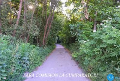 TEREN 6700 MP, INTRAVILAN LANGA PADURE - 9