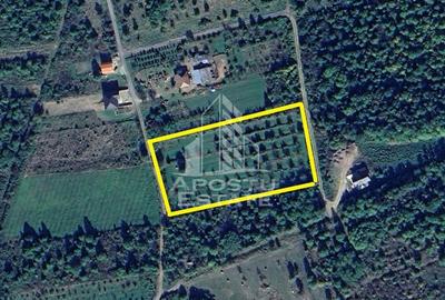 Teren Construibil - Sebis - 2