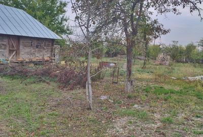 Spațiu comercial, în Podu Broșteni - 1