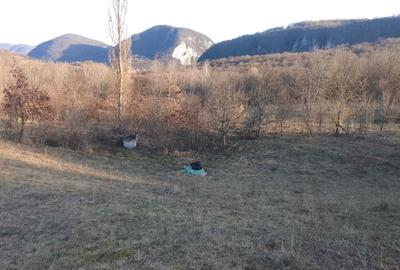 Spațiu comercial, în Ormindea - 2