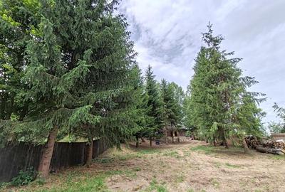 Teren intravilan în Glăjărie - 5