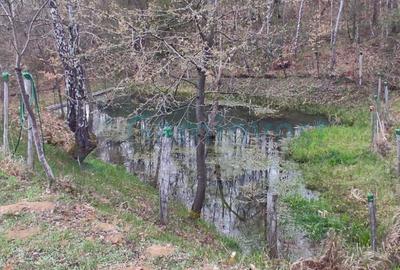 Cabană în zonă montană, Bihor, oportunitate de investiție,Gaminvest, V3155B - 24