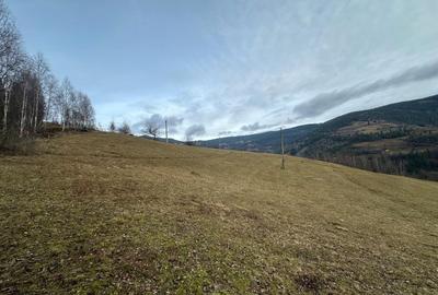 Spațiu comercial, în Albac - 4