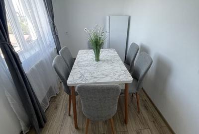 Apartament cu 3 camere decomandat în Beba Veche - 6