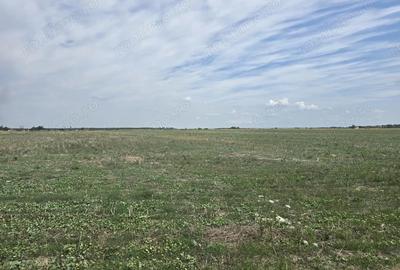 Mosnita Veche - 11 parcele - 10800 mp- CF individuale - 6