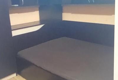 Dimtrie leonida demisol drumul fermei - 4