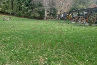 CASĂ DE VACANȚĂ 5 CAMERE,POINANA MĂRULUI, JUD.CARAȘ-SEVERIN - 5