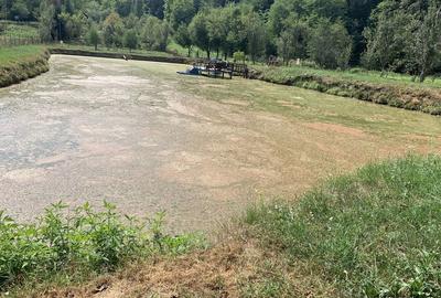 Casă cu 3 camere în Mădrigești - 3