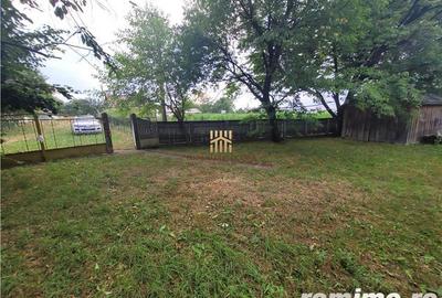 Casa Orheienilor! - 11