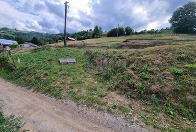 Teren de 1600 mp, în Gilău - 3