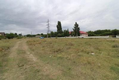 Teren de 3637 mp, în Centura - 2