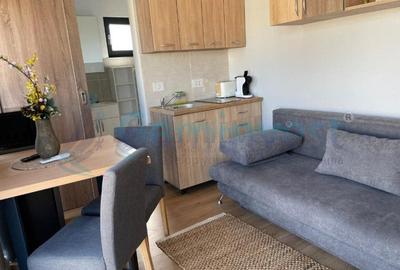 Gaminvest,Afacere de 4 stele de vanzare in Vadul Crisului, Bihor, Romania,V4254 - 11