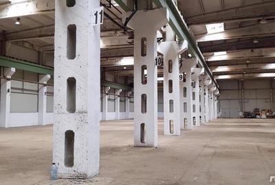 Spațiu comercial, de 2,000 mp, în Băneasa - 3