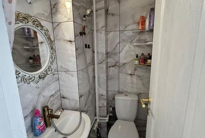 Garsonieră semidecomandată, mobilată în Valea Rosie - 2