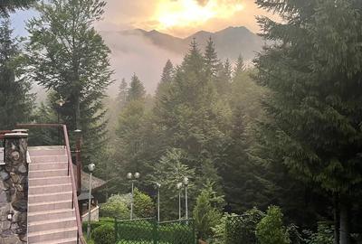 Casă individuală cu 5 camere cu Teren 1500 Mp în Cumpătu - 3