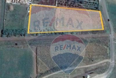 Teren intravilan  in Cordun Roman la OFERTA